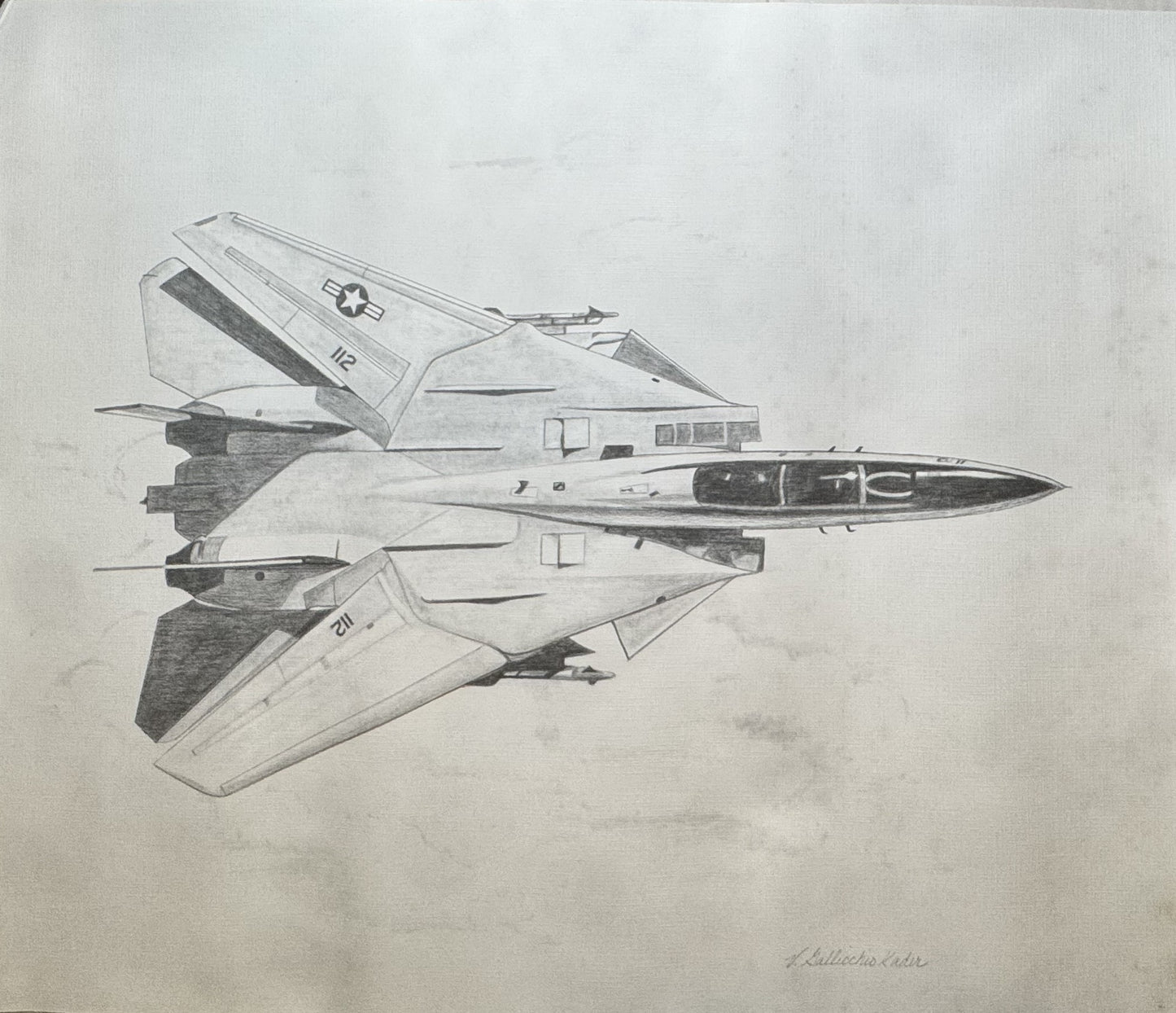F-14 Tomcat #3 Black & White 16" x 20" Print