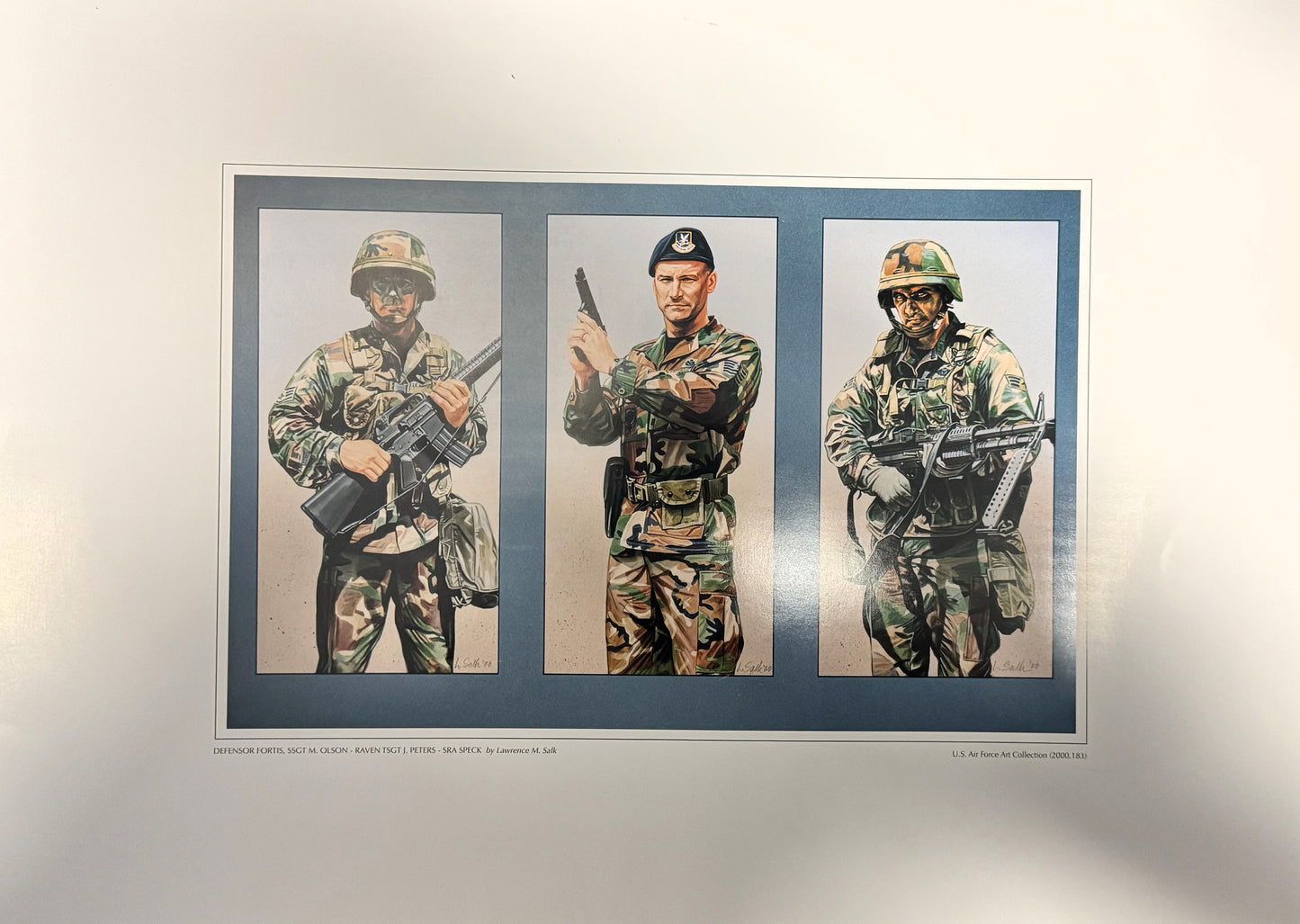 Defensor Fortis, SSGT M. Olson - Raven TSGT J. Peters - SRA Speck USAF Art Collections
