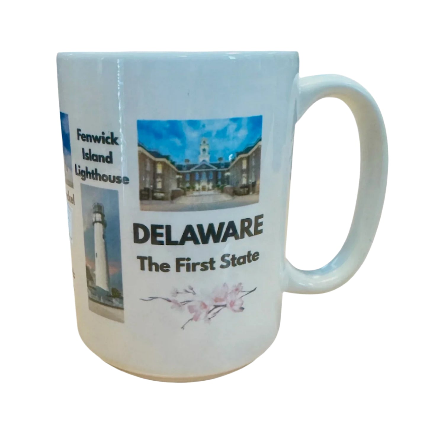 Delaware Souvenir Mug