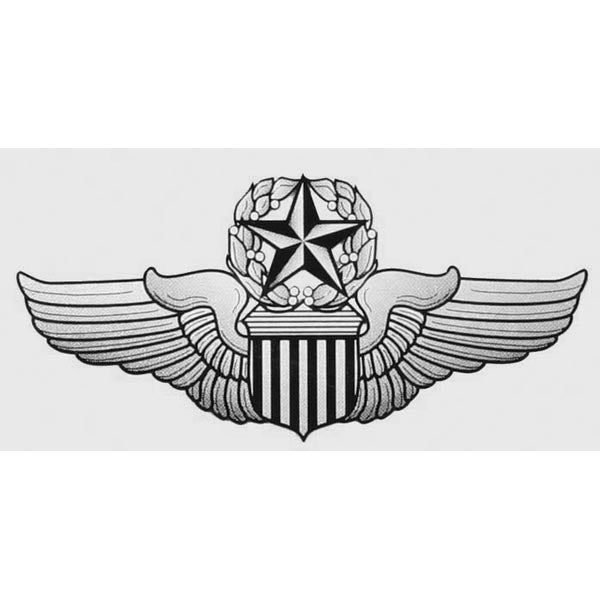 USAF Command Pilot Wings Decal