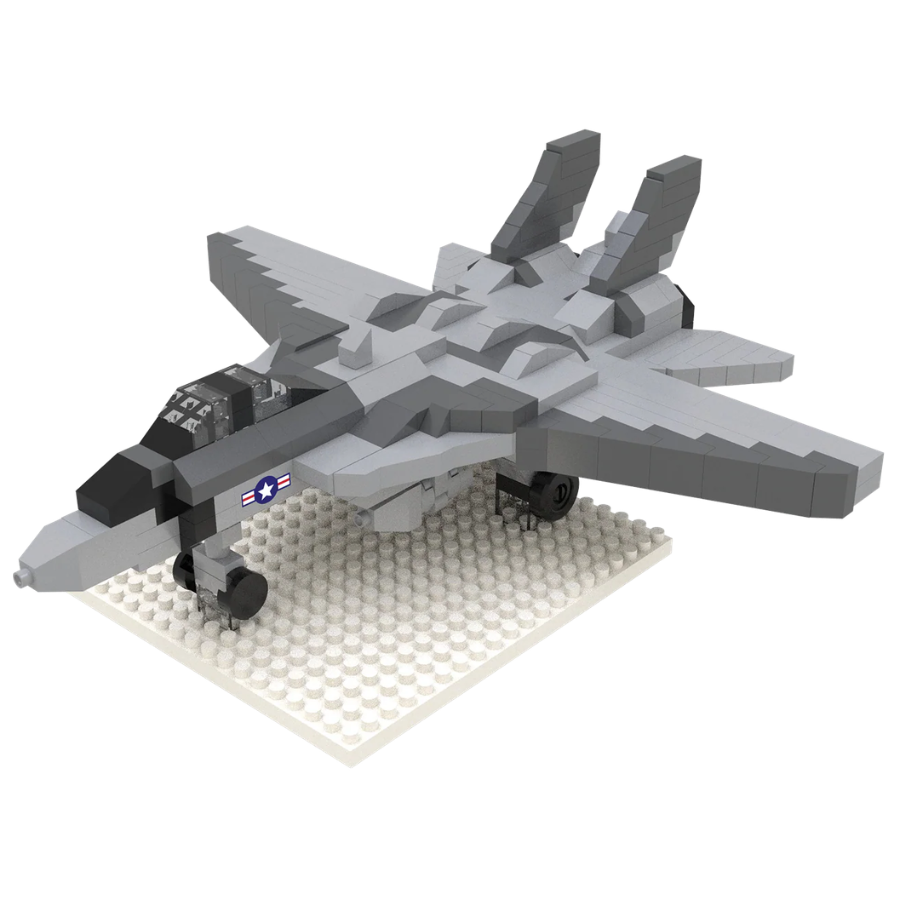 F-14 Fighter Jet
