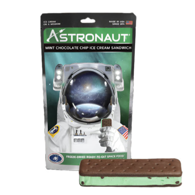 Astronaut Mint Chocolate Chip Ice Cream