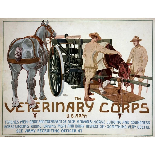 Veterinary Corps Poster