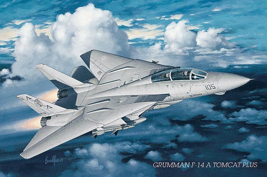 Tomcat Poster