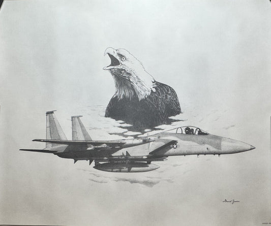 F-15 Eagle #2 Black & White 16" x 20" Print