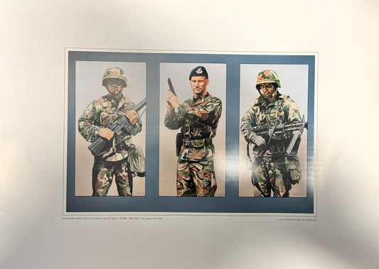 Defensor Fortis, SSGT M. Olson - Raven TSGT J. Peters - SRA Speck USAF Art Collections