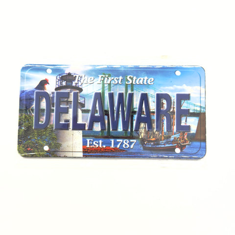 Delaware Metal License Plate Magnet