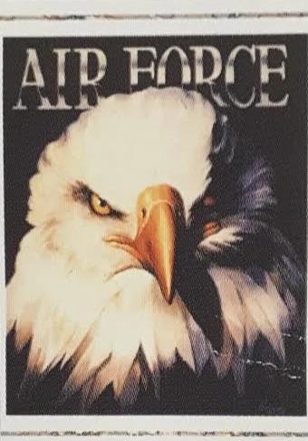 Air Force Eagle Poster