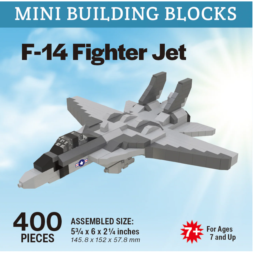 F-14 Fighter Jet