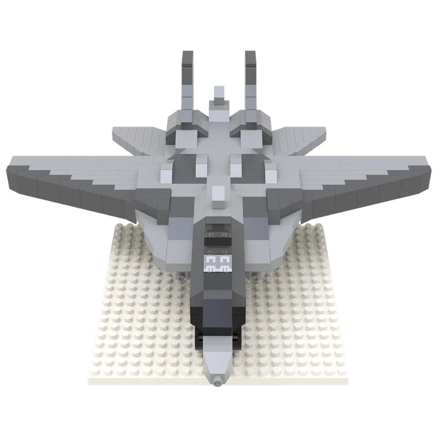 F-14 Fighter Jet