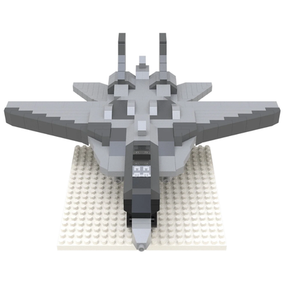 F-14 Fighter Jet