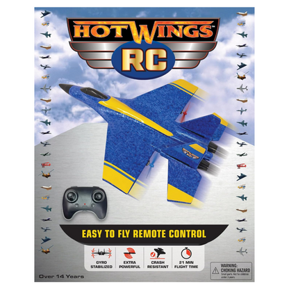 Hot Wings Easy To Fly RC Plane