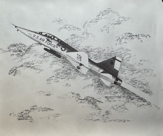 T-38 Talon Black & White 16" x 20" Print