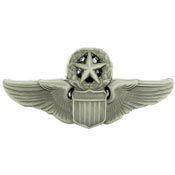 Basic Pilot Master Wings Pin