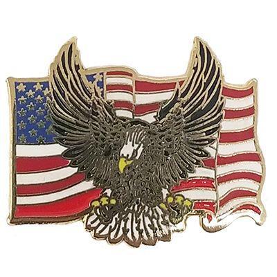 Eagle Flag Pin