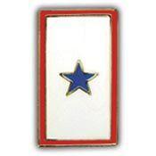 Family Member - In Service - 1 Star Pin