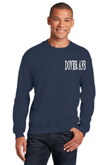 Dover AFB Embroidered  Sweatshirt    Apparel